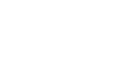 PureCars Footer Logo